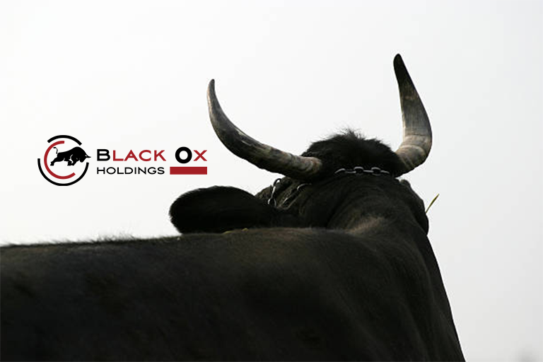 Black Ox Holdings